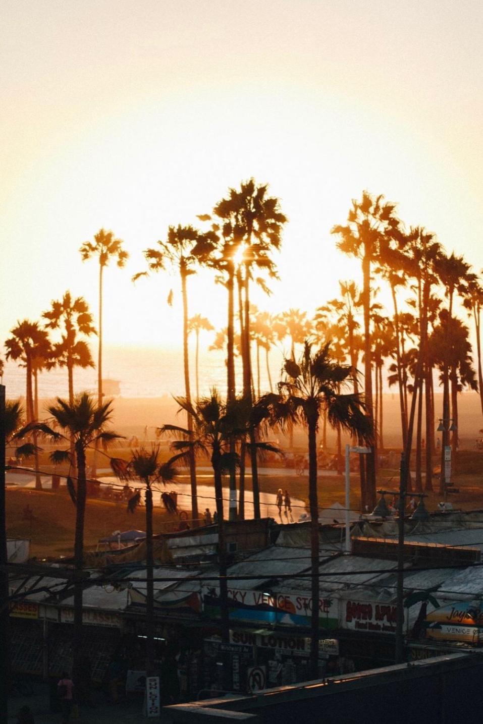 Venice Beach Studio With Large Private Patio Steps To The Beach Los Angeles Esterno foto