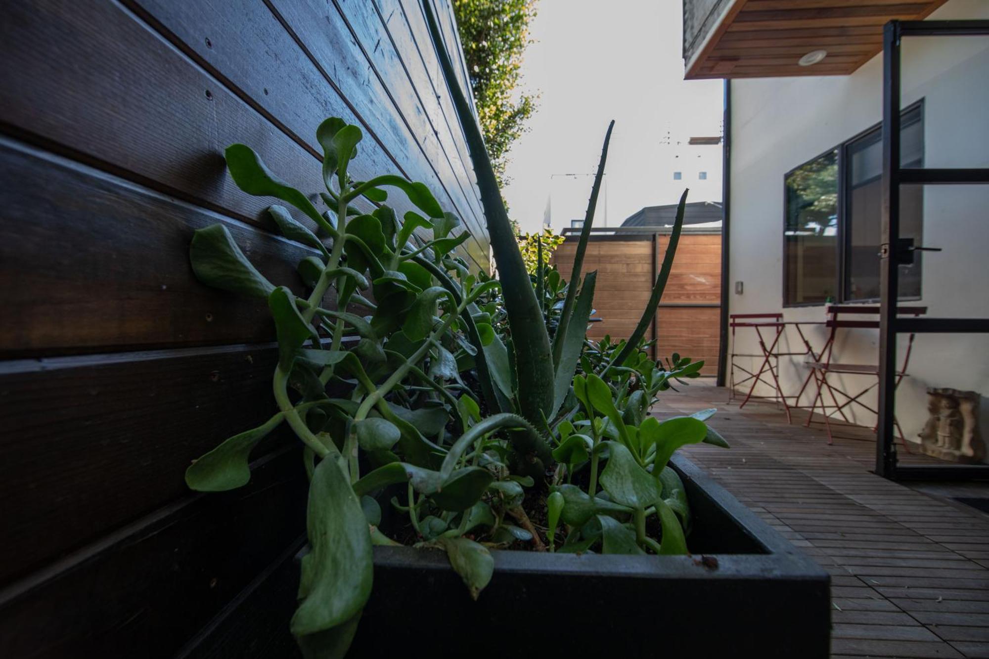 Venice Beach Studio With Large Private Patio Steps To The Beach Los Angeles Esterno foto