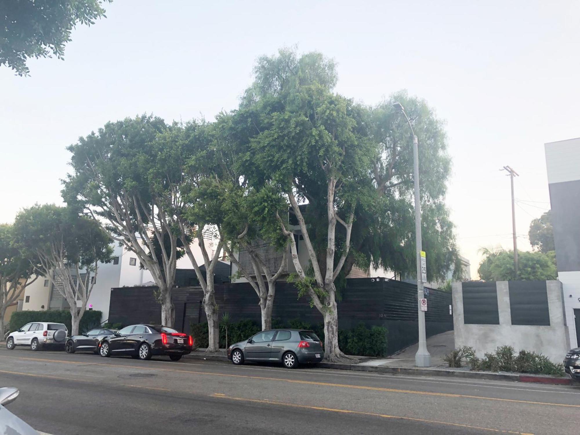 Venice Beach Studio With Large Private Patio Steps To The Beach Los Angeles Esterno foto