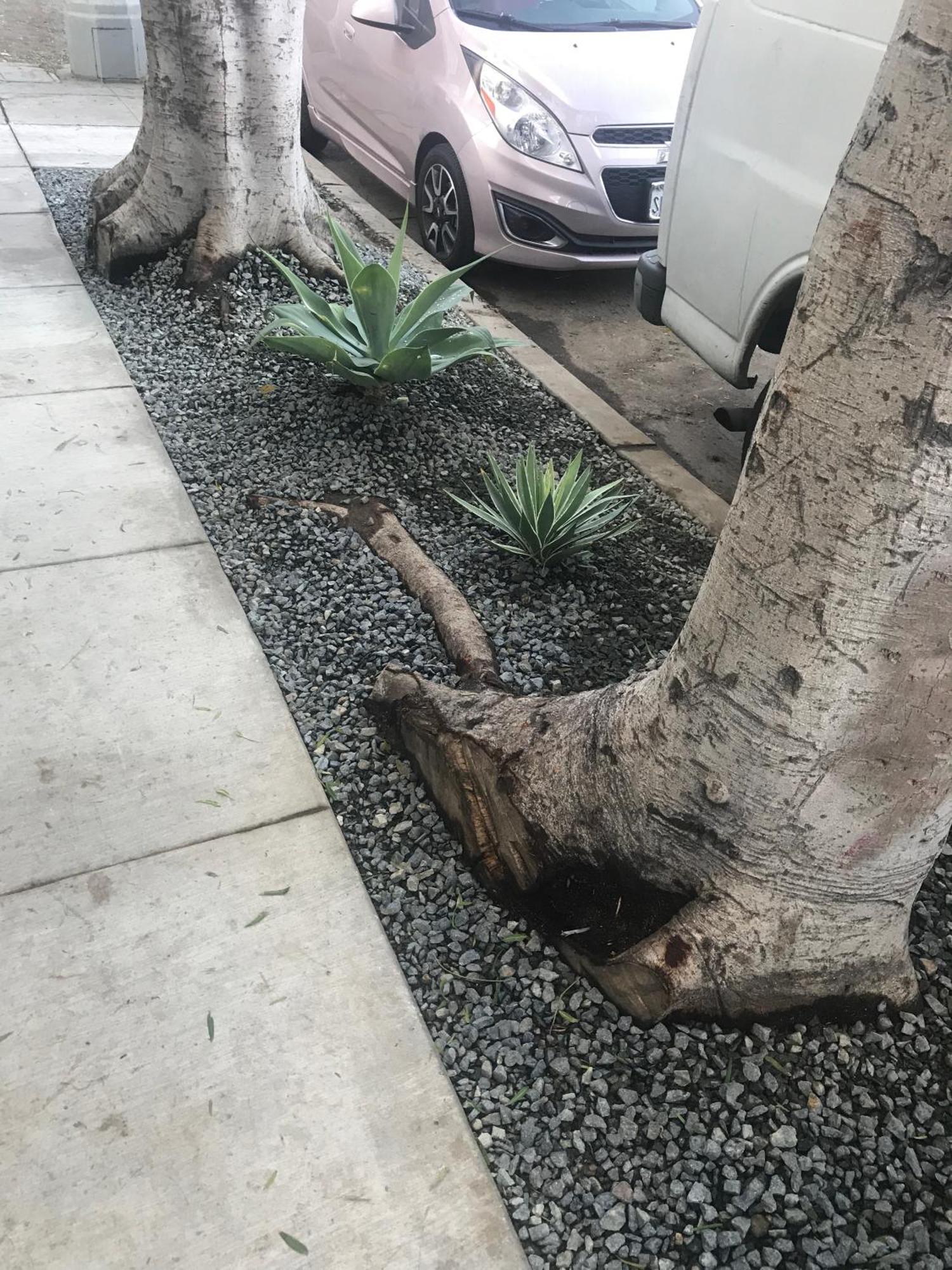Venice Beach Studio With Large Private Patio Steps To The Beach Los Angeles Esterno foto